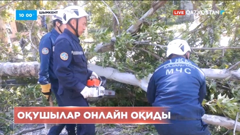 Шымкент, Түркістан өңірлерінде оқушылар онлайн оқиды