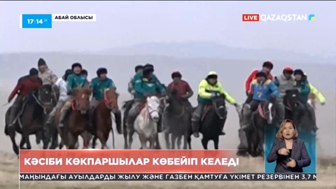 Абай облысындағы Ақсуат ауданында кәсіби көкпаршылар көбейіп келеді