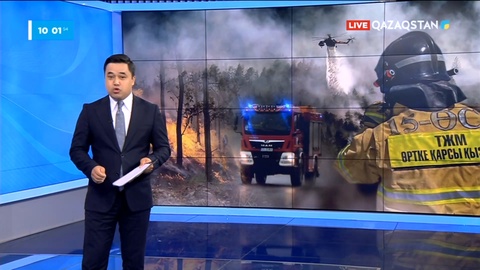 Президент Абай облысындағы өртке байланысты Вьетнамдағы сапарын кейінге шегерді