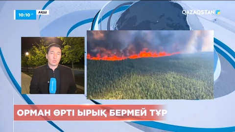 Канададағы орман өрті: 4 млн гектар алқап күлге айналды