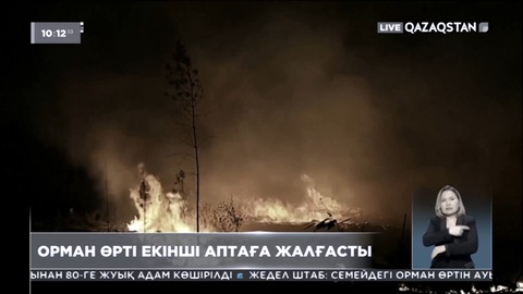 Германияда орман өрті екінші аптаға жалғасты