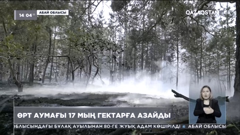 Абай облысы: Өрт аумағы 17 мың гектарға азайды
