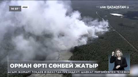 АҚШ-та орман өрті сөнбей жатыр