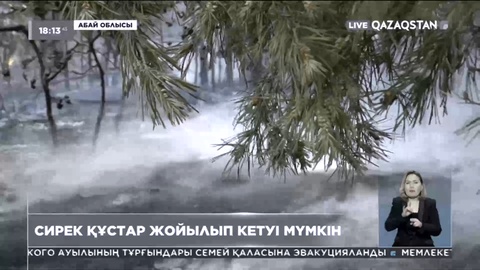 Абай облысындағы орман өрті құстарға орасан залал келтірді