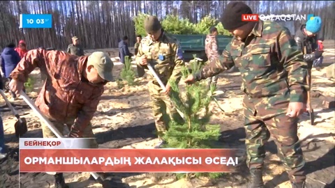 1 шілдеден бастап орманшылардың жалақысы өседі