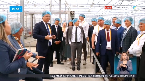 Нидерланды Қазақстанмен жылыжай өндірісіндегі тәжірибесімен бөлісті