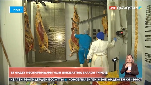 Ет өңдеу кәсіпорындары үшін шикізат бағасы тиімсіз – министр