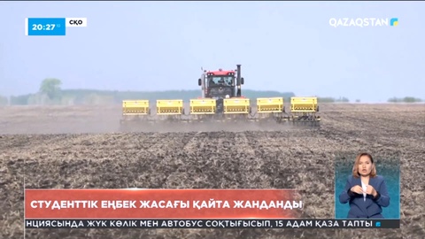 Еліміздің солтүстігінде студенттік еңбек жасағы қайта жандана бастады