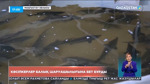 Маңғыстауда кәсіпкерлер балық шаруашылығына бет бұрды