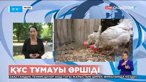 Ресейде құс тұмауы өршіді