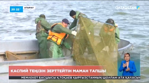 Каспийді зерттейтін маман тапшы