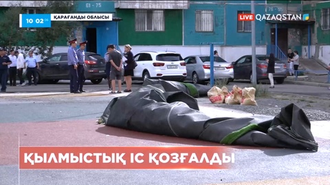 Қарағандыда дауылдан жасанды көгалдың аударылуына қатысты қылмыстық іс қозғалды