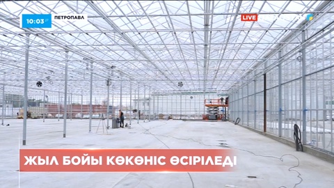 Петропавлда жыл он екі ай жұмыс істейтін жылыжай салынып жатыр