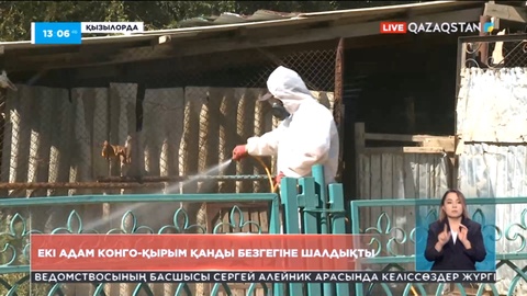 Қызылорда облысында екі адамнан Конго-Қырым безгегі анықталды