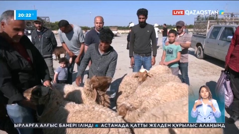 Тунисте Құрбан Айт қарсаңында қой қымбаттады