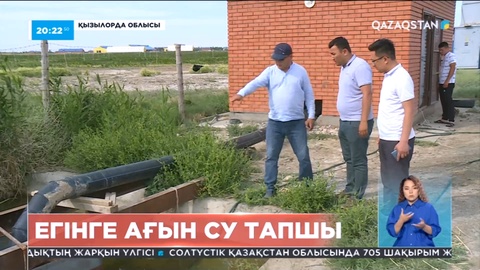 Қызылорда облысында егінге ағын су тапшы