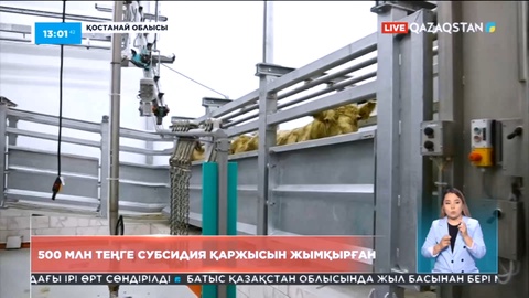 Қостанай облысында 500 млн теңге субсидия қаржысын жымқырған қылмыстық топ ұсталды