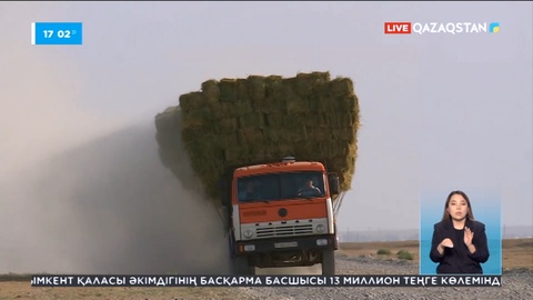 Түркістан облысында 174 ауыл әкімі әкімшілік жазаға тартылды