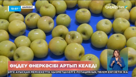 Шымкентте ауыл шаруашылығы өнімдерін өңдеу ісі қарқын алды
