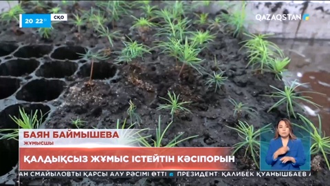 СҚО Бескөл ауылында ағаш өңдеу цехы өнімдерін экспортқа шығарып отыр