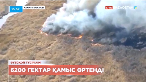 Іле-Балқаш резерватындағы өрт толық сөндірілген жоқ