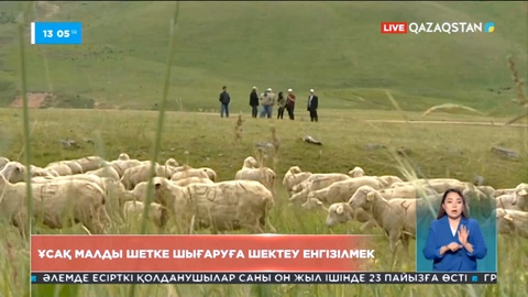 Қазақстаннан ұсақ малды шығаруға шектеу енгізілмек