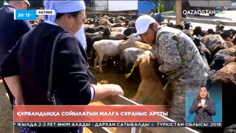 Құрбан айт қарсаңында сойылатын малға сұраныс артты