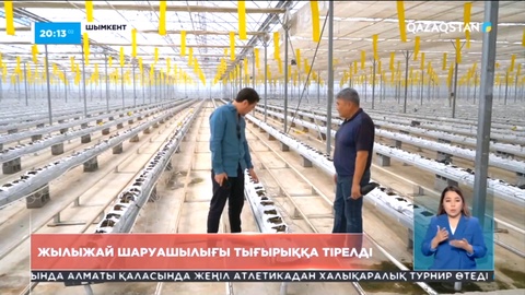 Шымкенттік шаруалар тағы да тығырыққа тірелді