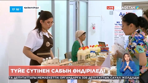 Қызылорда облысында түйе сүтінен сабын өндіріледі