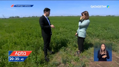 Әбілхайыр Тамабек: Қазақстандық кәсіпкерлерлермен 3 жылдық келісім бар, қымбаттап жатқаны - шетелдік тыңайтқыштар