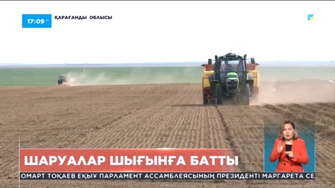 Қарағандылық диқандар шығынға батты