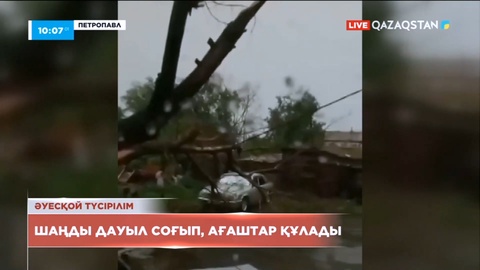 СҚО-да шаңды дауыл әсерінен ағаштар құлаған