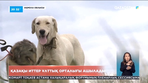 Қазақы иттер ұлттық орталығы ашылады