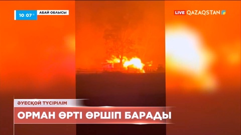 Абай облысында орман өрті өршіп барады