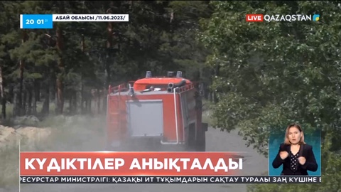 Абай облысындағы өрт ісі бойынша «Семей-Орманы» резерваты басшылары күдікті ретінде танылды