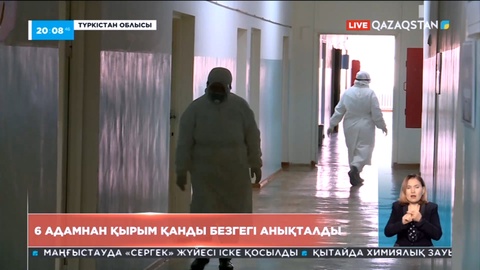 Түркістан облысында алты адамнан Конго-Қырым қанды безгегі анықталды