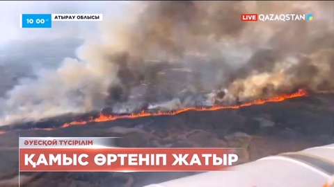 Атырауда Каспий теңізінің жағалауындағы қамыс өртінің аумағы 700 гектарға жетті