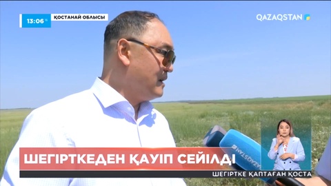 Қостанай облысында шегірткеден қауіп сейілді