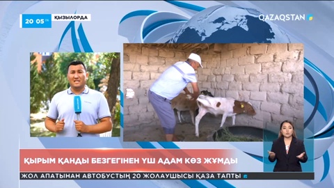 Қызылорда облысында Конго-қырым безгегінен үш адам көз жұмды