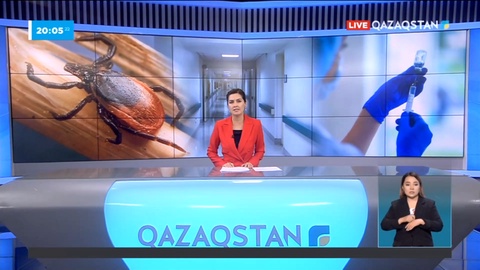 Түркістан облысында 9 адам Қырым-қанды безгегін жұқтырған