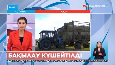 Солтүстік Қазақстанда зиянкестерге қарсы шаралар қолға алынды