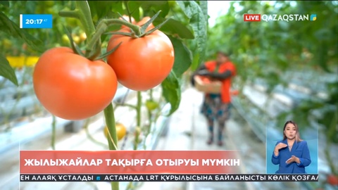 Отандық жылыжайлар тақырға отыруы мүмкін