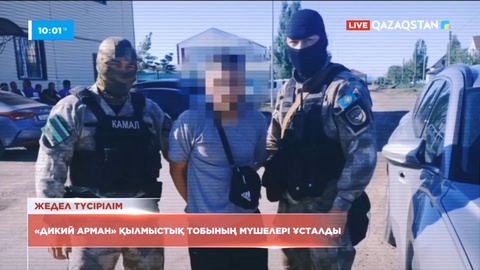 «Дикий Арман» қылмыстық тобының мүшелері ұсталды