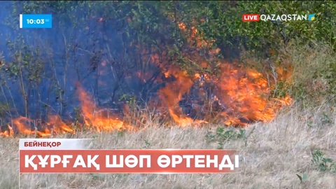 Бурабайдағы Көкше тауындағы орман өрті оқшауланды