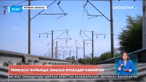 Жамбылдағы шойын жолдар бойында заңсыз өткелдер көбейген