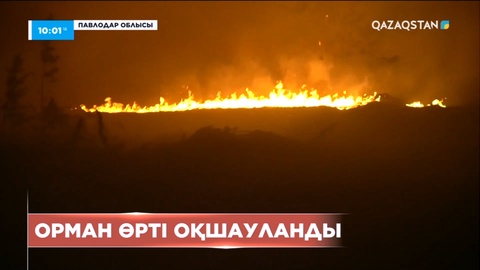 Павлодар облысында орман өрті оқшауланды