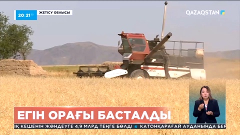 Жетісу облысында егін орағы басталды