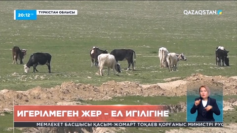 Қайтарылған жайылым жерлерді қорасында санаулы малы бар ауылдықтар пайдаланады