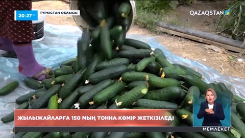 Түркістан облысының жылыжай шаруашылықтарына 150 мың тонна Шұбаркөл көмірі жеткізіледі