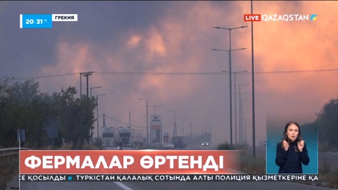 Сирияның жағалаудағы аймақтарында үшінші күн қатарынан орман өртеніп жатыр